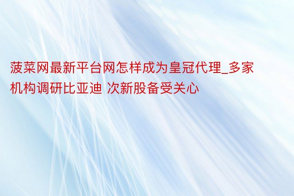 菠菜网最新平台网怎样成为皇冠代理_多家机构调研比亚迪 次新股备受关心